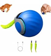 DINGLIAN 1 Pack Interactive Cat Toy Balls for Indoor Cats, Speedy Tail 3.0 | Cat Toy Two Speed Sm...