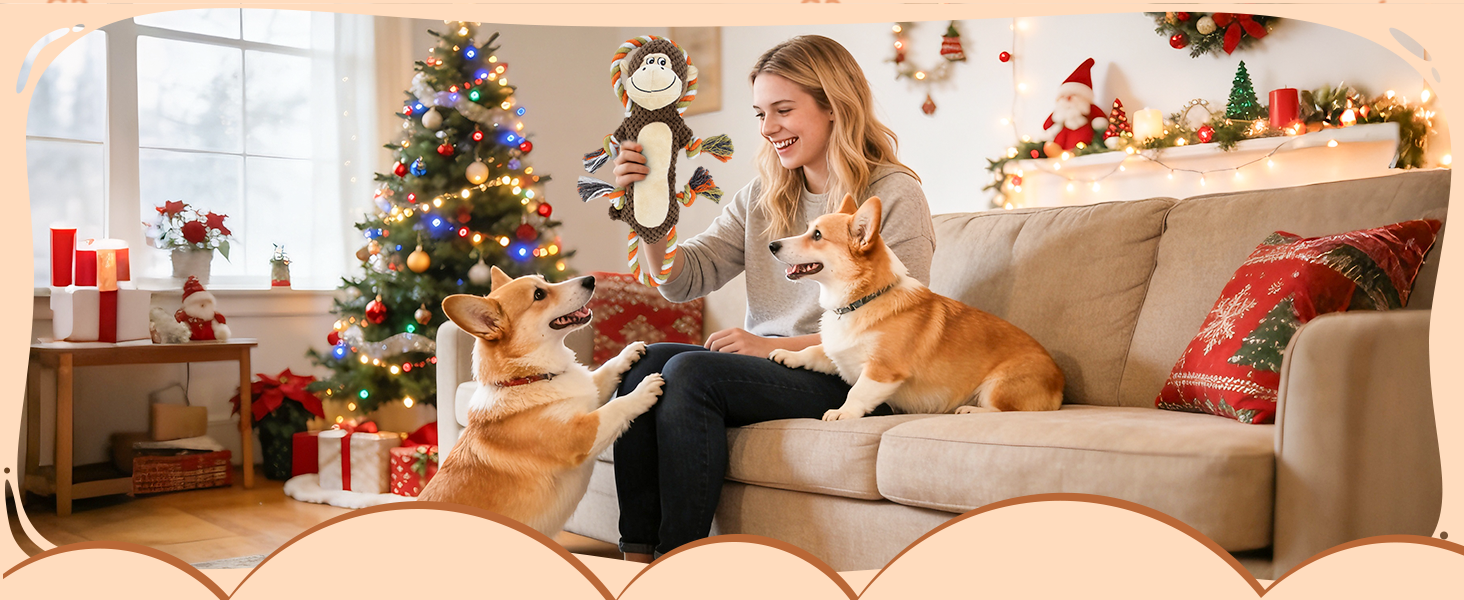 gift Christmas dog toys