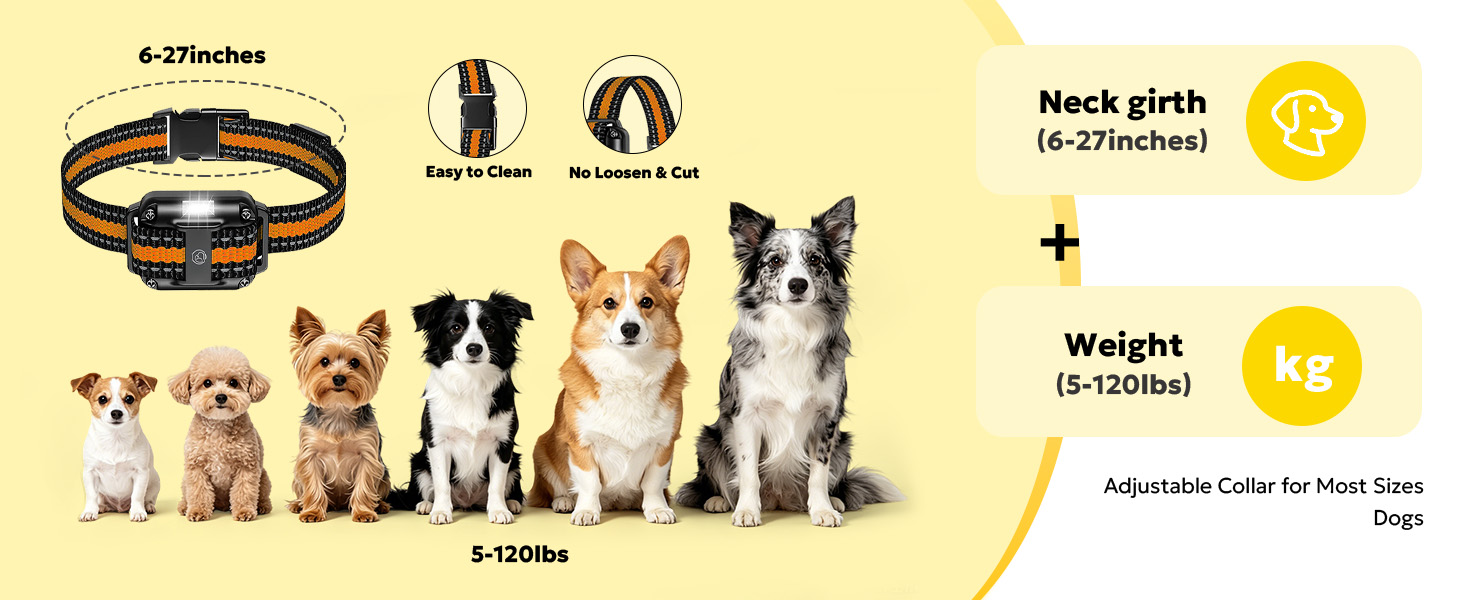 Heaflex shock collar for dog