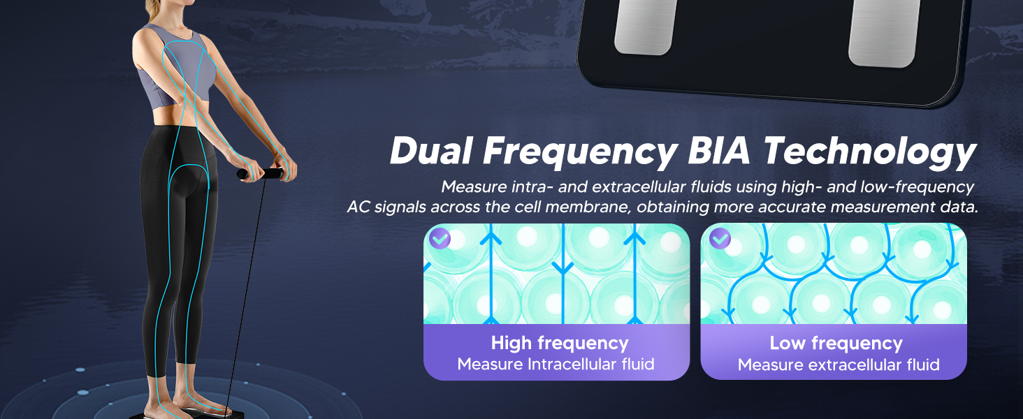 Dual Frequency BIA Measurement body composition scale