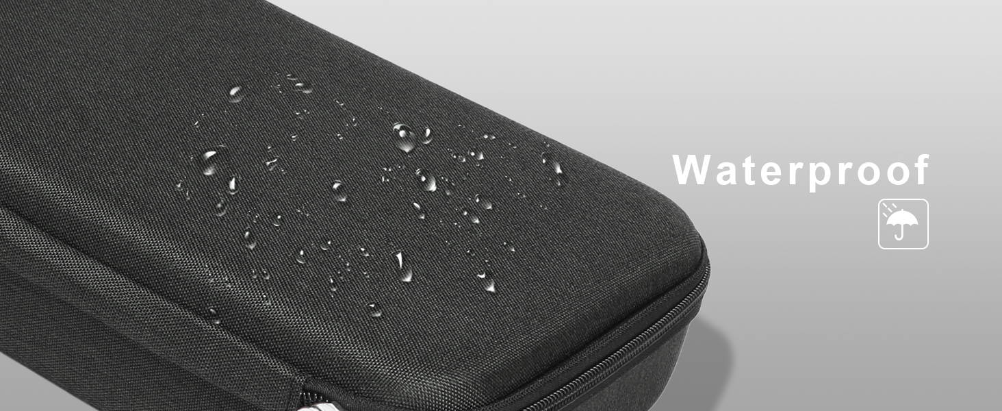 Travel Sunglasses Organizer Case