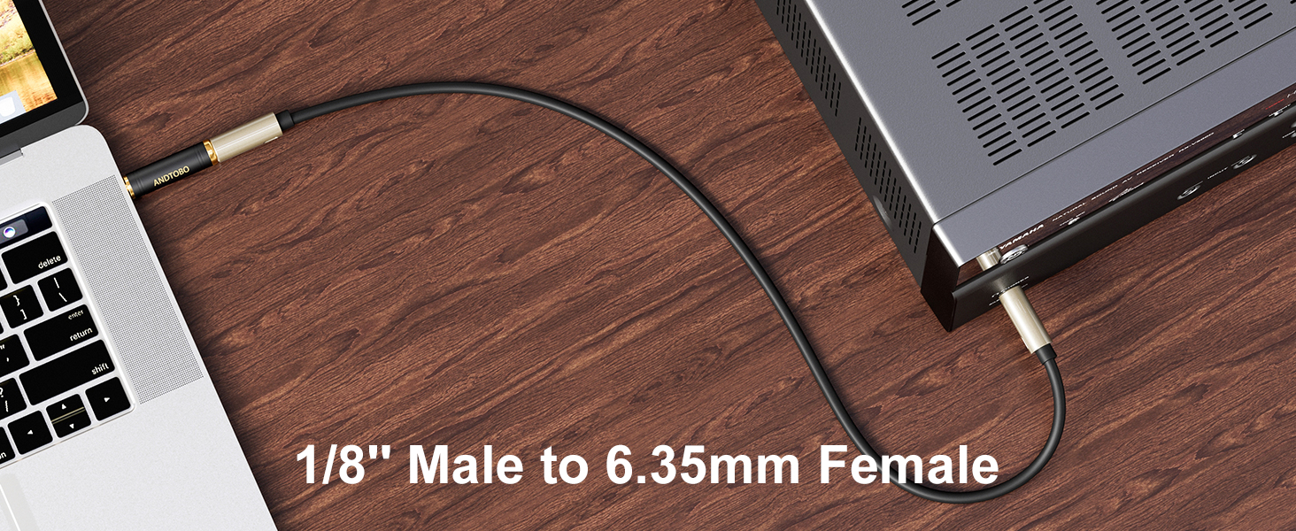 3.5 & 6.35 Headphone Adapter