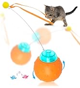 Waaiio Interactive Cat Toy Ball, Touch Activated Cat Toys for Indoor Cats with Chirping Bird, Aut...