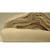 Nouvelle Legende Microfiber Luxury Coral Fleece Sheet Set