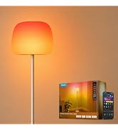 Govee Lantern Floor Lamp, Halo Gradient RGBIC Smart Corner Lamp for Bedroom | Luminblend+, 1000K-...