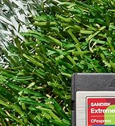 SANDISK CFexpress Type B 01