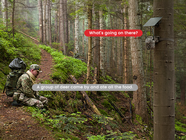 cellular trail camera