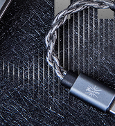 Kiwi Ears AD1 Pro USB C