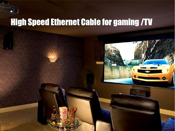 Ethernet Cable 100 ft High Speed
