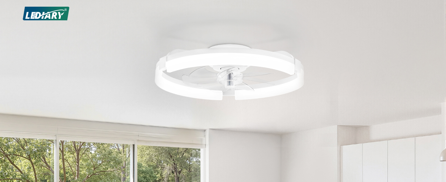 ceiling fans with lights