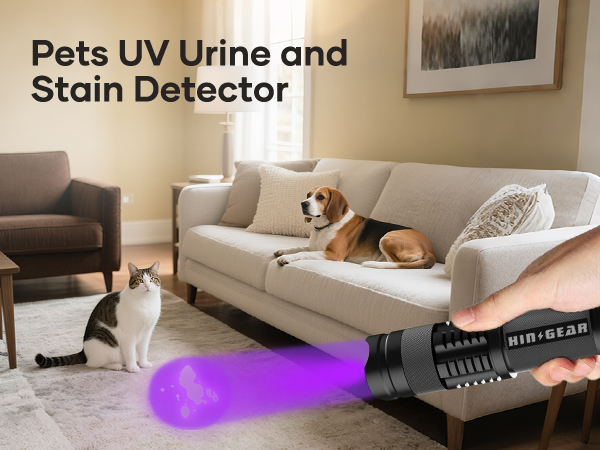 365nm uv flashlights