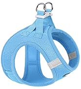 Step-in Small Dog Harness