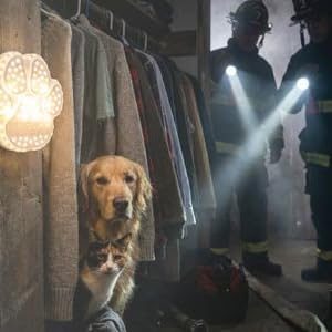 Dog and cat hiding in closet with Rescue Retriever activated
