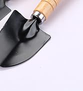 Succulent Tools