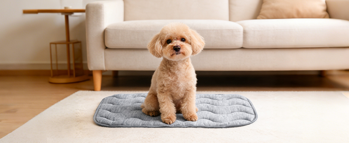 dog cooling mat