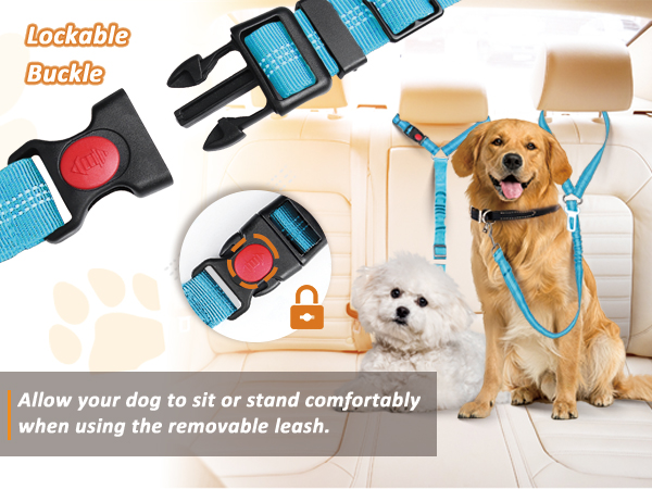 dog car harness
