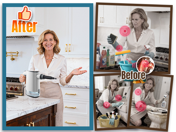 steam cleaner