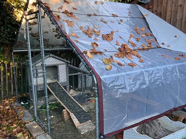 clear tarp