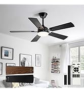 Depuley 42-inch Ceiling Fan with Light: Black Ceiling Fan for Living Room Indoor Outdoor - Modern...