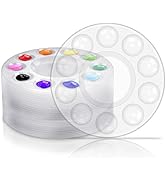 Inifus 22 PCS Clear Paint Tray Palettes for Kids or Birthday Painting Party, Acrylic Artist Paint...
