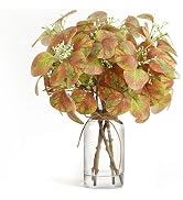 Muhanjia Artificial Eucalyptus Stems in Clear Glass Vase with Faux Water, 14