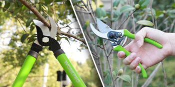 Tool set pruning branches