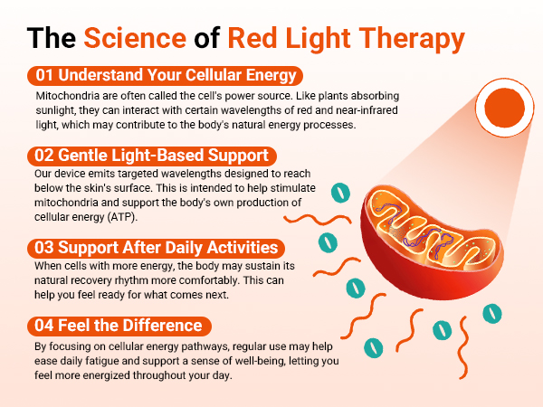 red light therapy belt with vibration massage