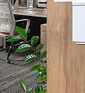 starlink router mount