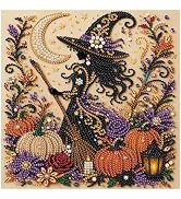 DIADAY Halloween Witch Special Shape Diamond Painting Kits for Adults | 5D Crystal Rhinestone Dia...