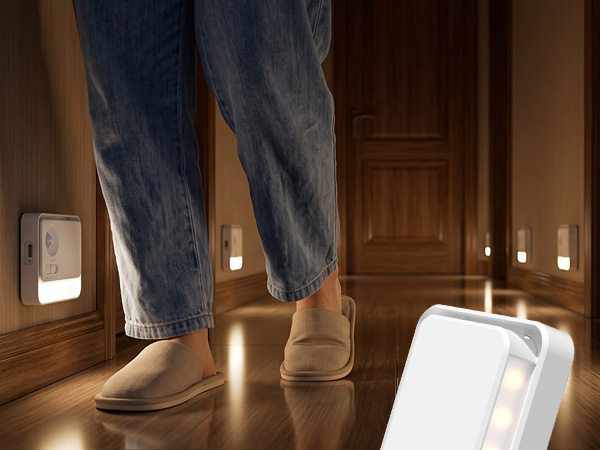 motion sensor light