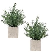 Coferset 2 Pack Small Fake Plants Rosemary Potted Artificial Plants for Shelf Desk Home Kitchen B...