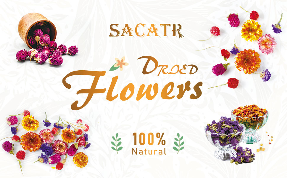 Dried Flowers Kit