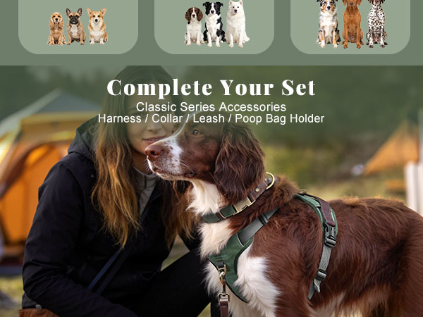 classic dog harness