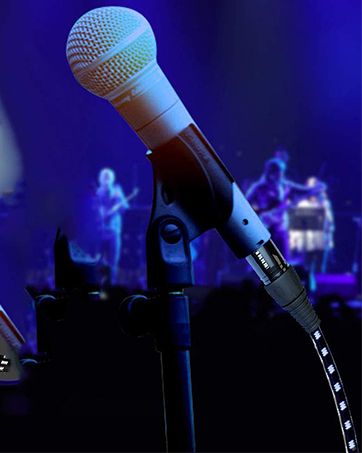 xlr mic