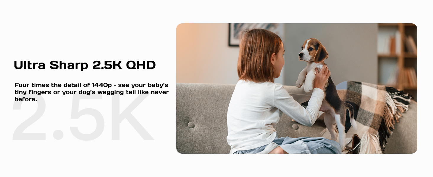 security camera indoor;pet camera indoor with phone app;surveillance&security cameras;home camera