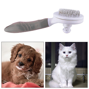 cat brush