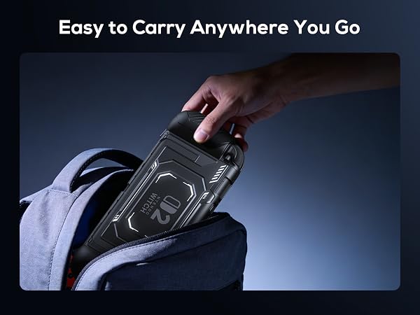 switch 2 dockable case