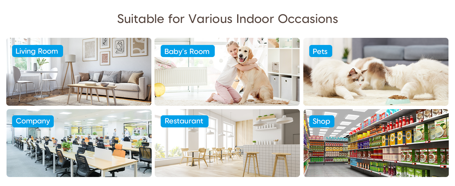 Suitable for Various Indoor Occasions