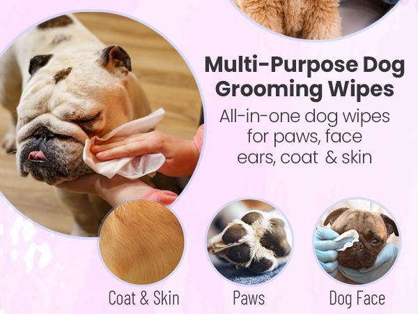 pet wipes