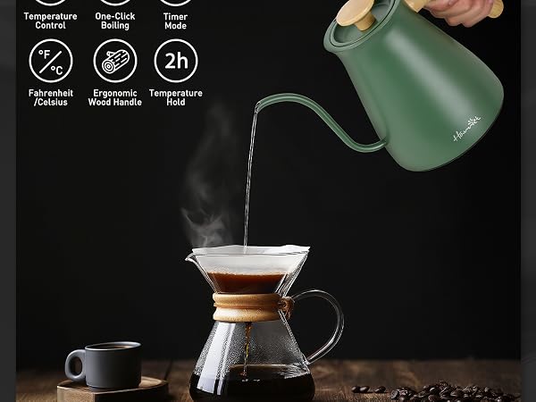 temperature control kettle
