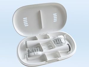 electric toothbrush with water flosser