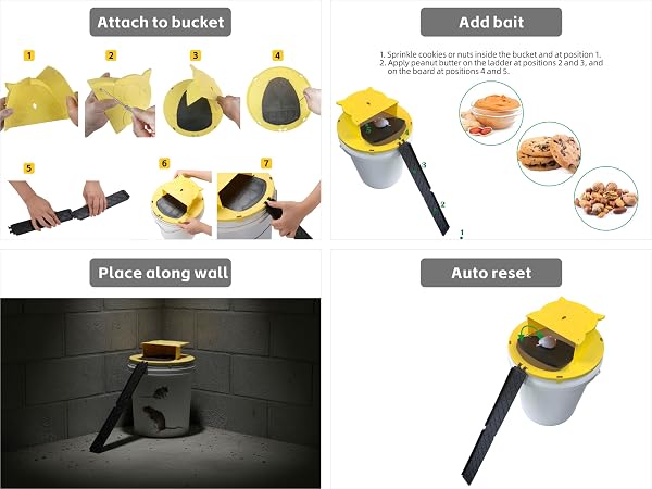 How to use bucket mouse trap Auto-reset multi catch.