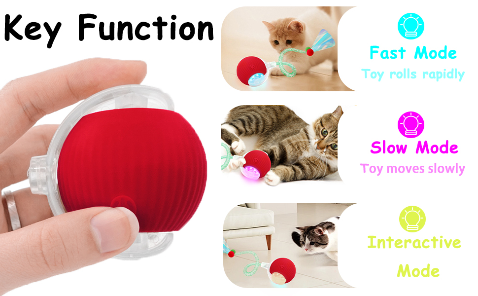 teazys cat toy cat stimulation toys for indoor cats teazys cat exercise cat toy interactive
