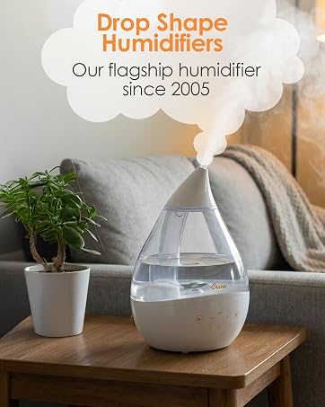 flagship humidifier