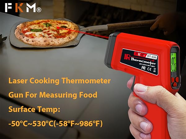 thermometer gun for cooking