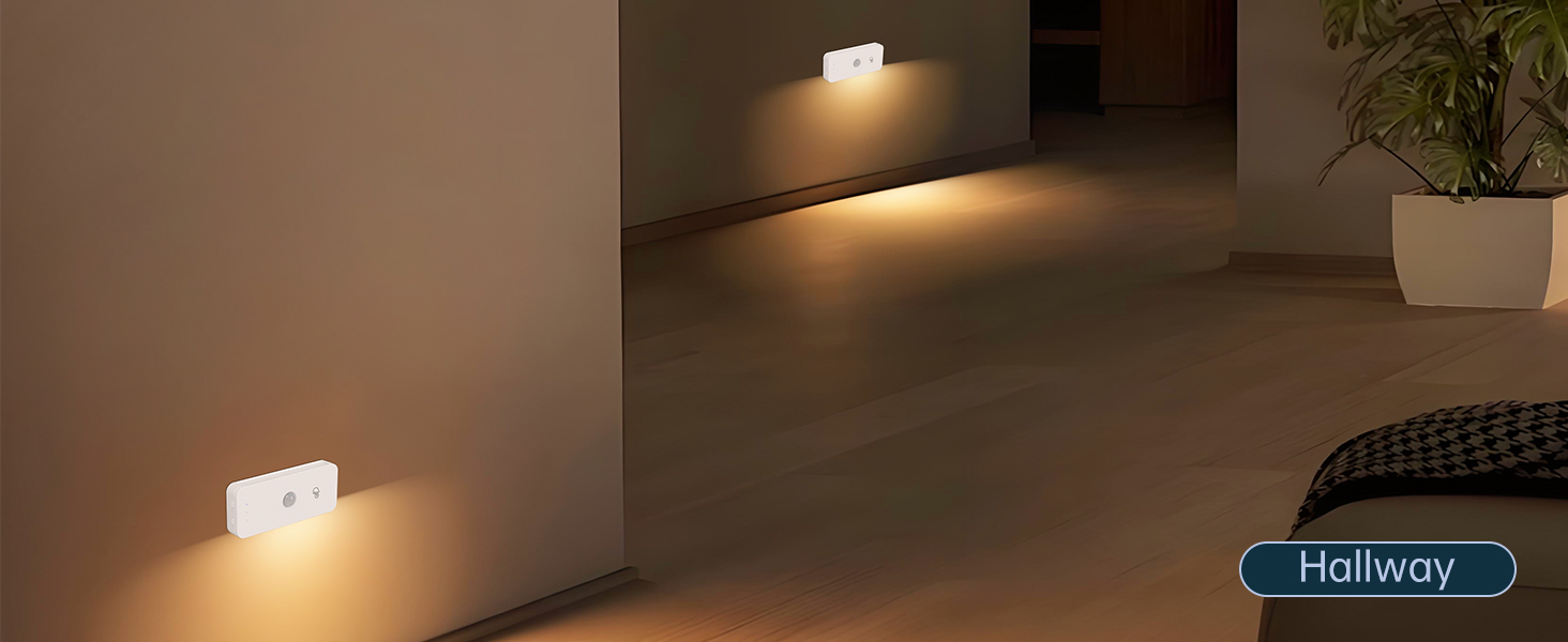 Wall Light