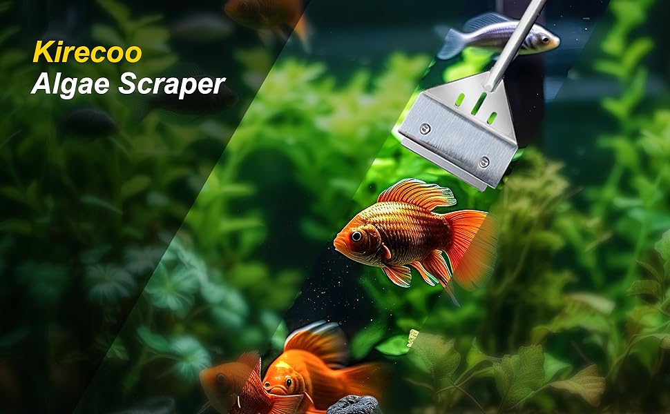 algae scraper for glass aquariums, glass scraper, scraper for cleaning, aquarium glass scraper