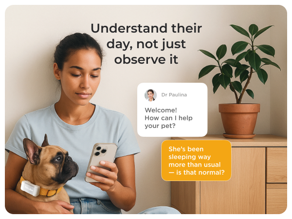 Petcube GPS Tracker for dogs