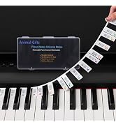Removable Piano Keyboard Stickers for Beginner, Removable Piano Keyboard Note Labels Guide Access...