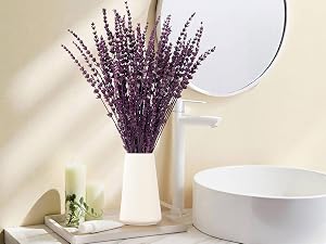 dried flowers for vases